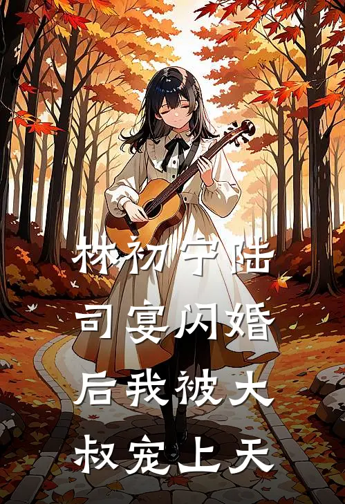 林初宁陆司宴闪婚后我被大叔宠上天