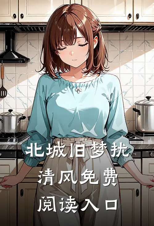 北城旧梦扰清风免费阅读入口