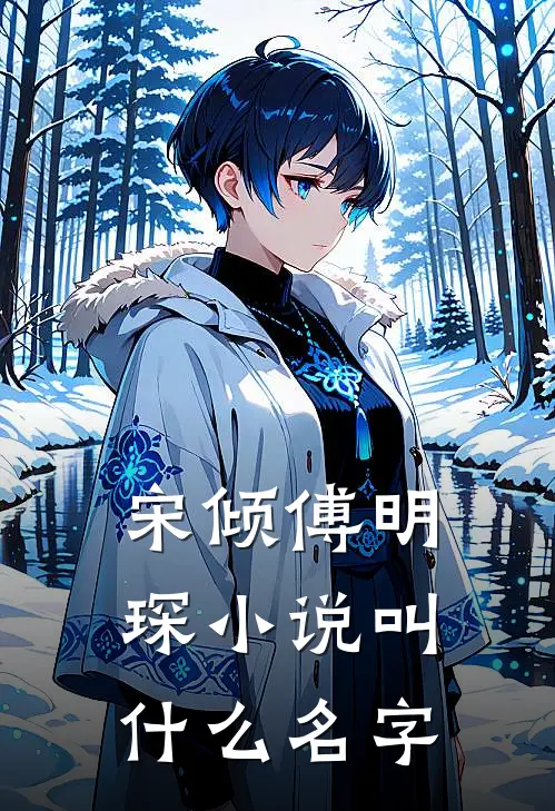 宋倾傅明琛小说叫什么名字