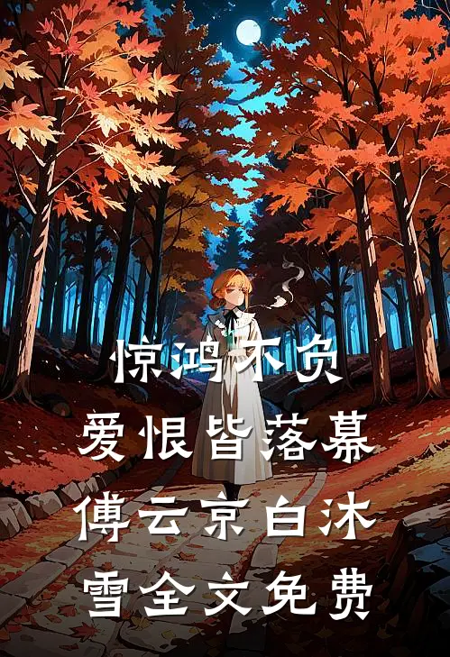 惊鸿不负，爱恨皆落幕傅云京白沐雪全文免费