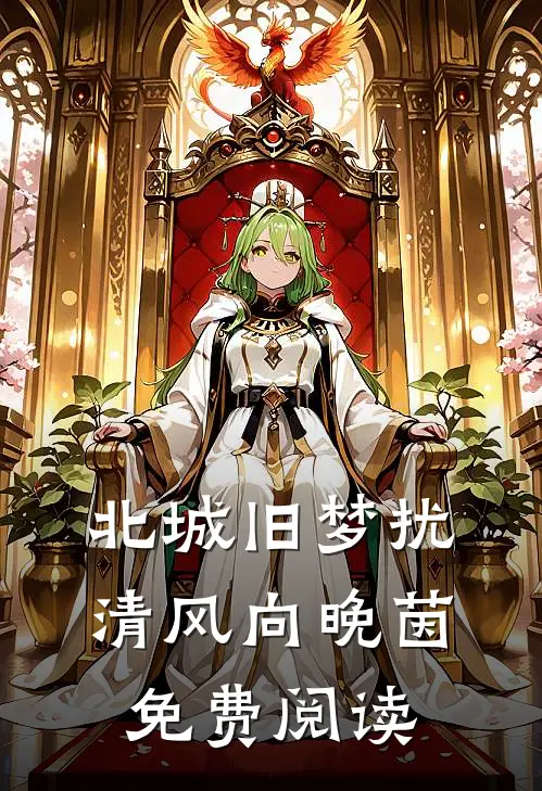 北城旧梦扰清风向晚茵免费阅读