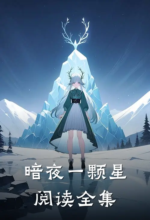 暗夜一颗星阅读全集