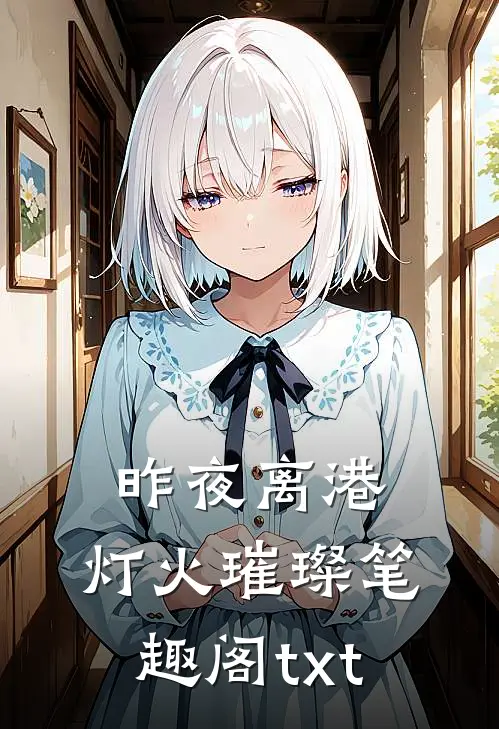昨夜离港，灯火璀璨笔趣阁txt