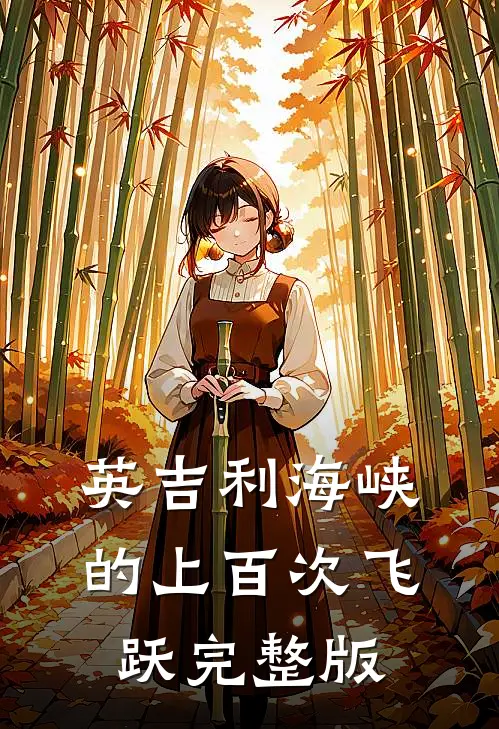 英吉利海峡的上百次飞跃完整版