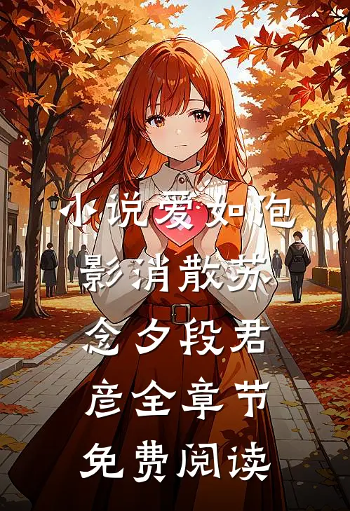 小说爱如泡影消散苏念夕段君彦全章节免费阅读