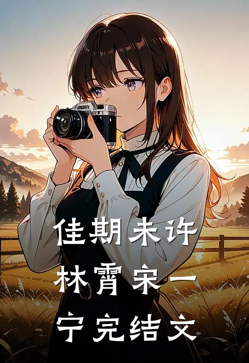 佳期未许林霄宋一宁完结文