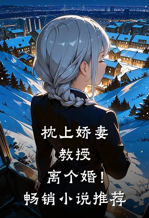 枕上娇妻：教授，离个婚！畅销小说推荐