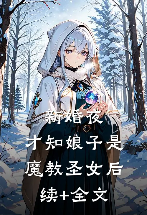 新婚夜，才知娘子是魔教圣女后续+全文