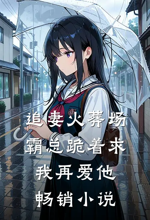 追妻火葬场：霸总跪着求我再爱他畅销小说