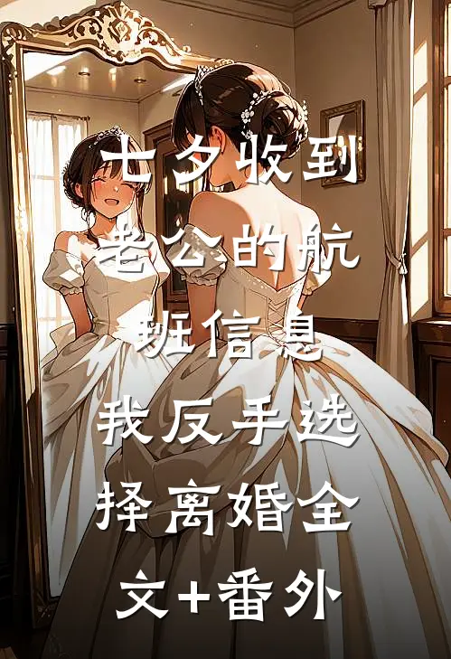 七夕收到老公的航班信息，我反手选择离婚全文+番外