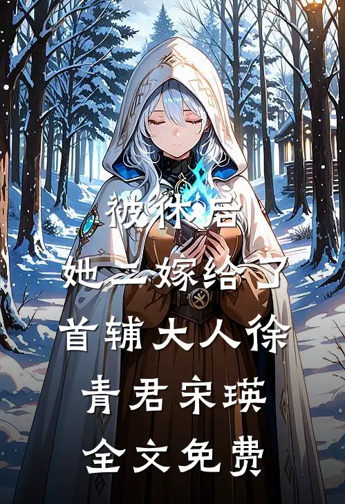 被休后，她二嫁给了首辅大人徐青君宋瑛全文免费