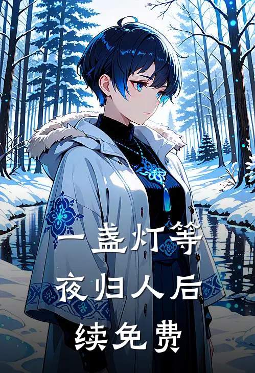 一盏灯等夜归人后续免费