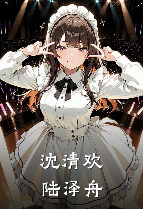 沈清欢陆泽舟