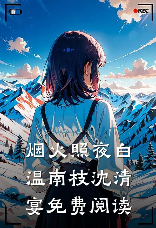 烟火照夜白温南枝沈清宴免费阅读