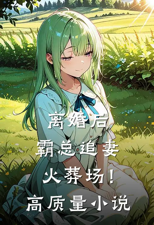 离婚后，霸总追妻火葬场！高质量小说