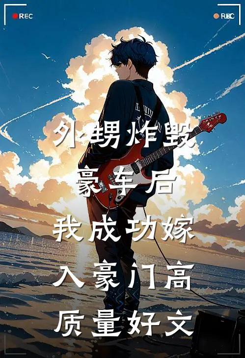 外甥炸毁豪车后，我成功嫁入豪门高质量好文