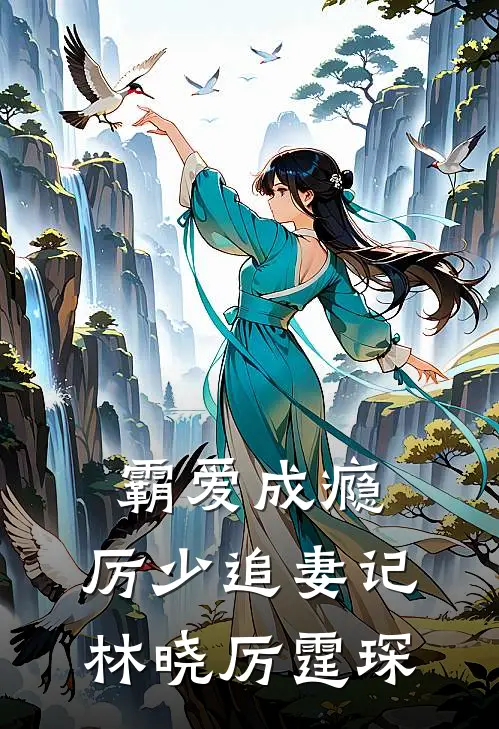 《霸爱成瘾：厉少追妻记》林晓厉霆琛