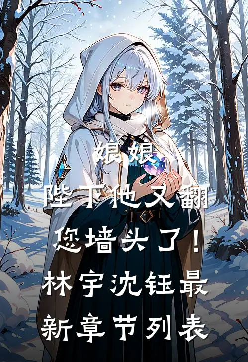 娘娘，陛下他又翻您墙头了！林宇沈钰最新章节列表
