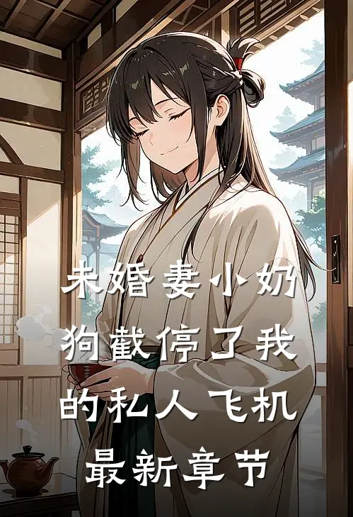 未婚妻小奶狗截停了我的私人飞机最新章节