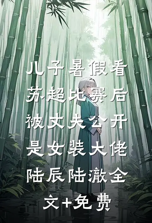 儿子暑假看苏超比赛后，被丈夫公开是女装大佬陆辰陆澈全文+免费