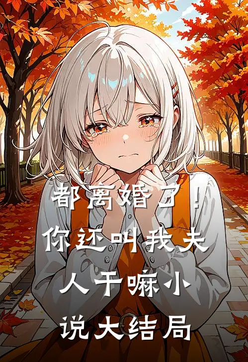 都离婚了！你还叫我夫人干嘛小说大结局