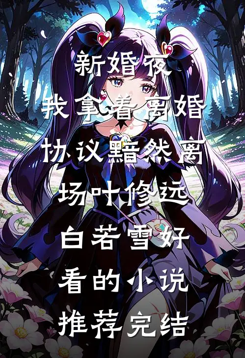 新婚夜，我拿着离婚协议黯然离场叶修远白若雪好看的小说推荐完结