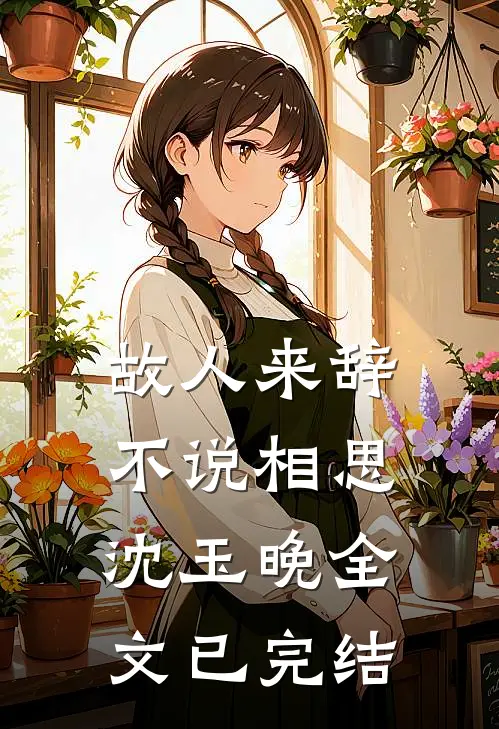 故人来辞，不说相思沈玉晚全文已完结