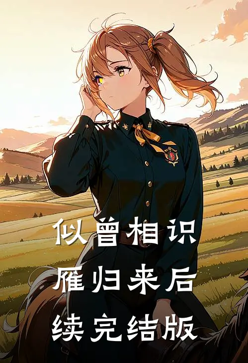 似曾相识雁归来后续完结版