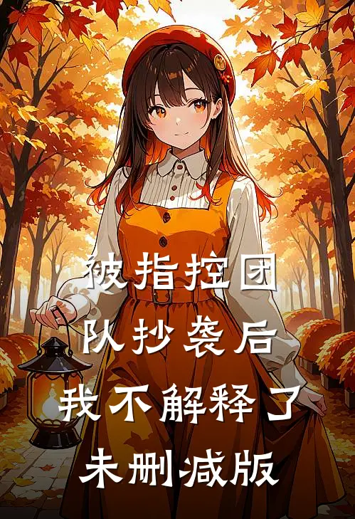被指控团队抄袭后，我不解释了未删减版