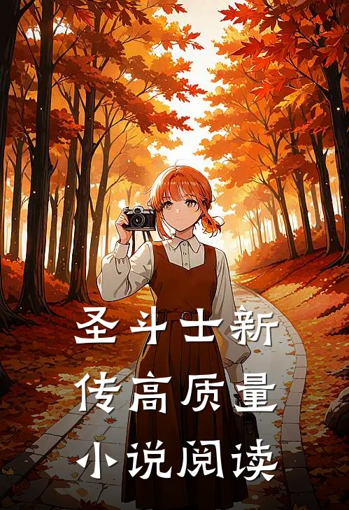 圣斗士新传高质量小说阅读