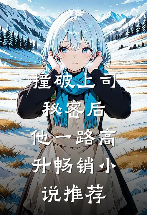 撞破上司秘密后，他一路高升畅销小说推荐