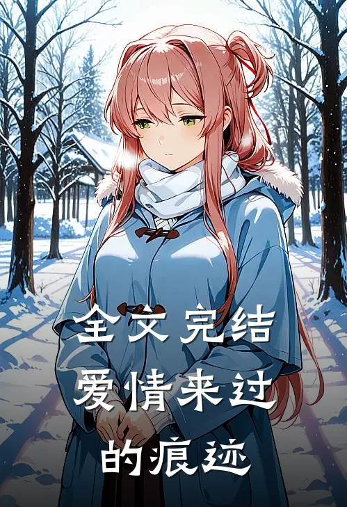 全文完结爱情来过的痕迹