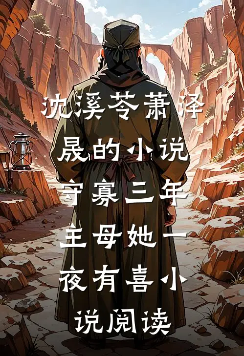沈溪苓萧泽晟的小说守寡三年，主母她一夜有喜小说阅读