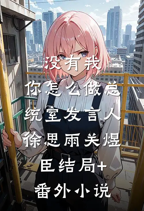 没有我，你怎么做总统室发言人。徐思雨关煜臣结局+番外小说