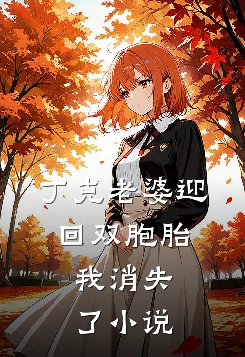 丁克老婆迎回双胞胎，我消失了小说