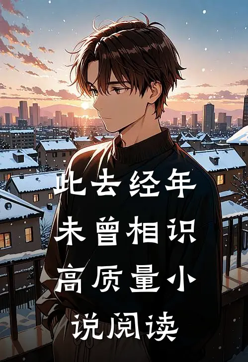 此去经年，未曾相识高质量小说阅读