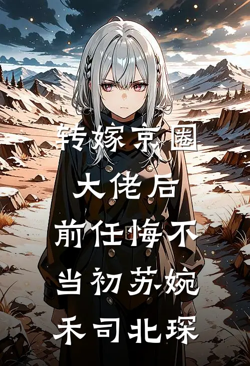 转嫁京圈大佬后，前任悔不当初苏婉禾司北琛