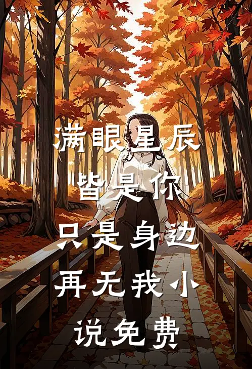 满眼星辰皆是你，只是身边再无我小说免费