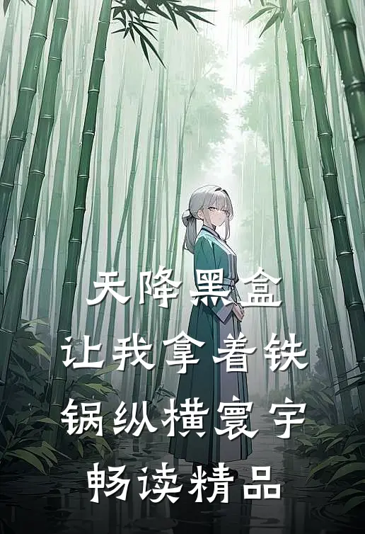 天降黑盒，让我拿着铁锅纵横寰宇畅读精品