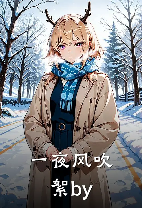 一夜风吹絮by