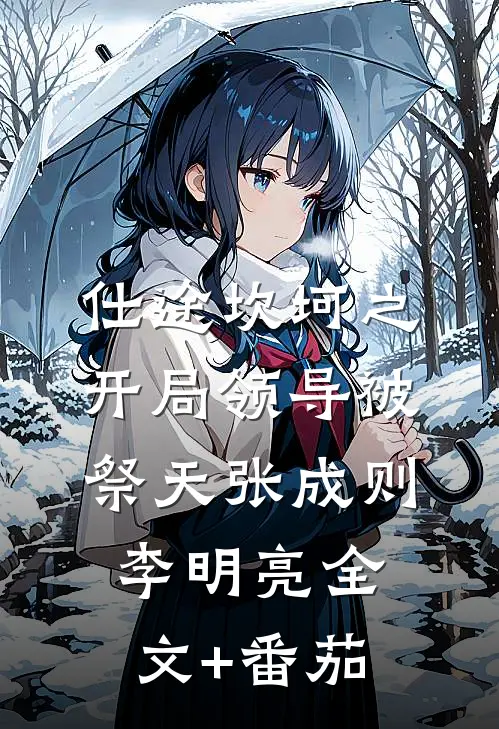 仕途坎坷之开局领导被祭天张成则李明亮全文+番茄