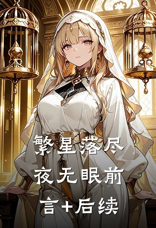 繁星落尽夜无眠前言+后续