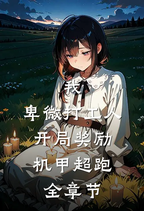 我，卑微打工人，开局奖励机甲超跑全章节