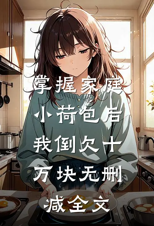 掌握家庭小荷包后，我倒欠十万块无删减全文