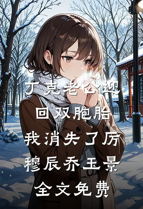 丁克老公迎回双胞胎，我消失了厉穆辰乔玉景全文免费