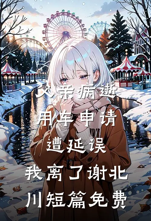 父亲病逝用车申请遭延误，我离了谢北川短篇免费