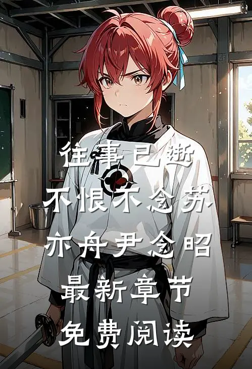 往事已逝，不恨不念苏亦舟尹念昭最新章节免费阅读
