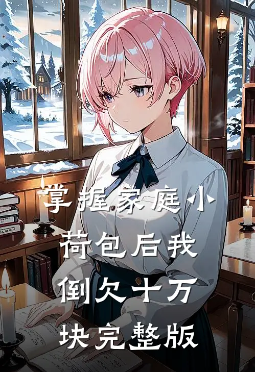 掌握家庭小荷包后我倒欠十万块完整版