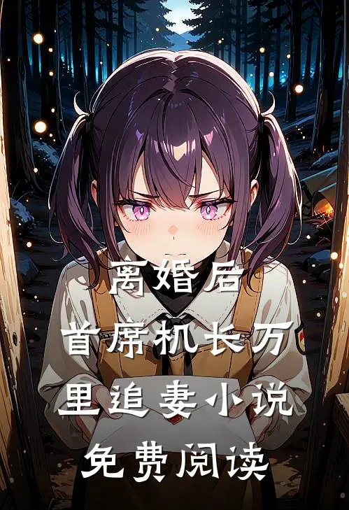 离婚后，首席机长万里追妻小说免费阅读
