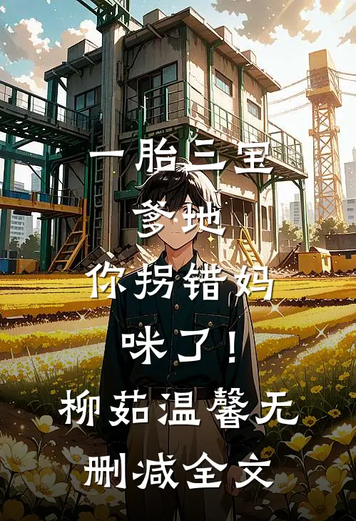 一胎三宝：爹地，你拐错妈咪了！柳茹温馨无删减全文